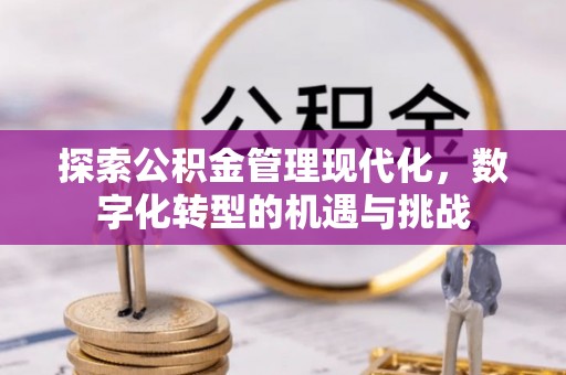 鹰手营子矿区探索公积金管理现代化，数字化转型的机遇与挑战