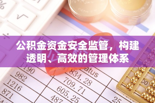 鹰手营子矿区公积金资金安全监管，构建透明、高效的管理体系