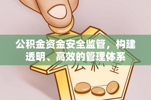 鹰手营子矿区公积金资金安全监管，构建透明、高效的管理体系