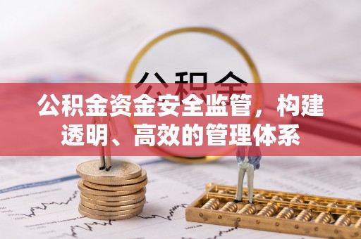 鹰手营子矿区公积金资金安全监管，构建透明、高效的管理体系