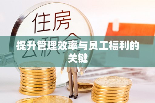 鹰手营子矿区提升管理效率与员工福利的关键
