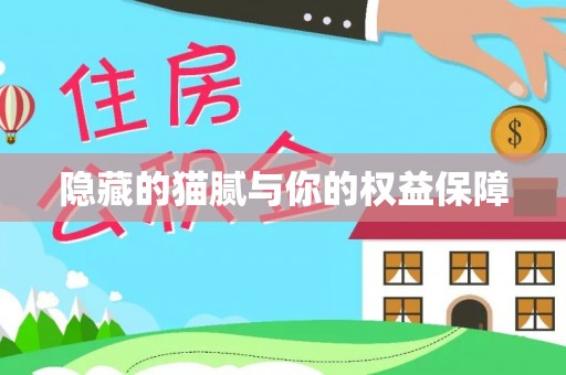 鹰手营子矿区隐藏的猫腻与你的权益保障