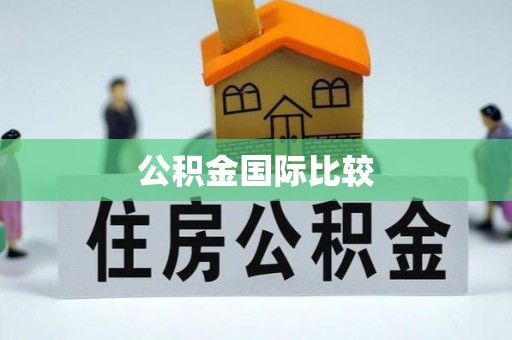 鹰手营子矿区公积金国际比较
