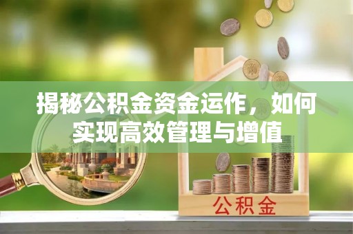 鹰手营子矿区揭秘公积金资金运作，如何实现高效管理与增值