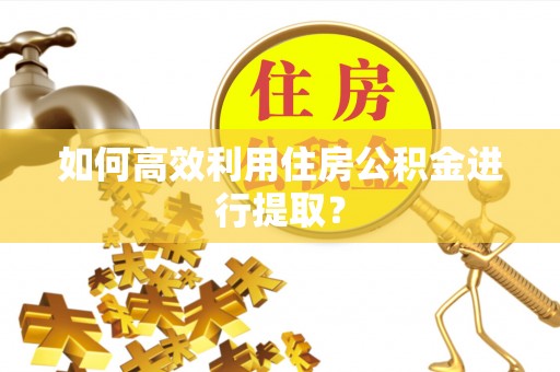 鹰手营子矿区如何高效利用住房公积金进行提取？