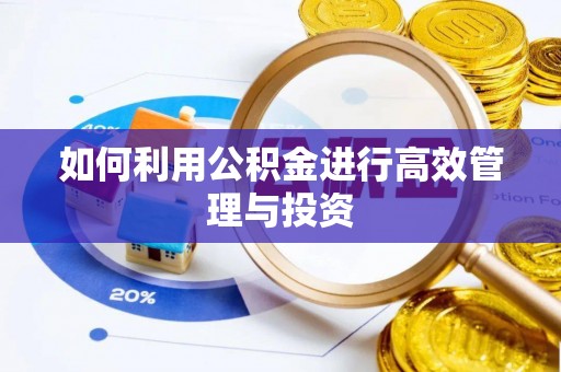 鹰手营子矿区如何利用公积金进行高效管理与投资