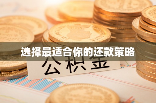 鹰手营子矿区选择最适合你的还款策略