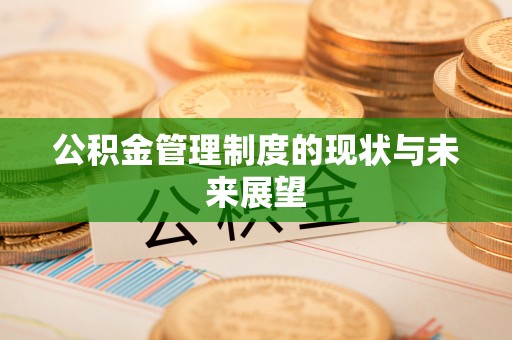 鹰手营子矿区公积金管理制度的现状与未来展望