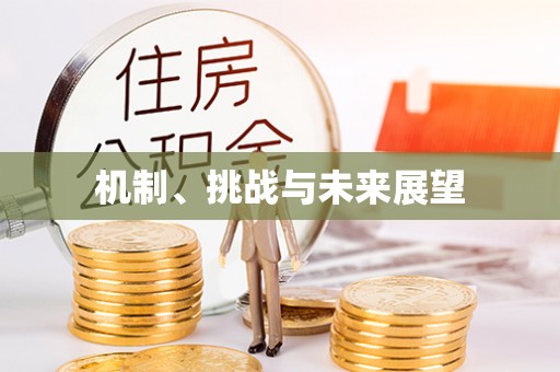 鹰手营子矿区机制、挑战与未来展望