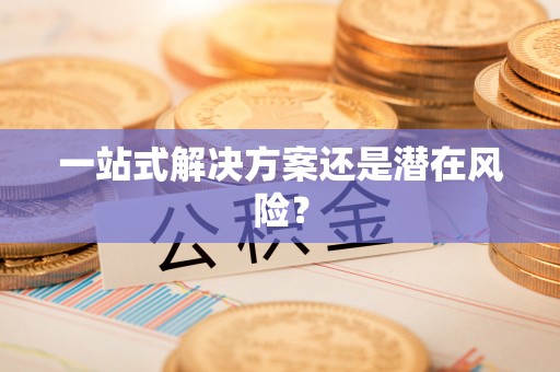 鹰手营子矿区一站式解决方案还是潜在风险？