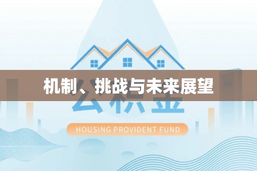 鹰手营子矿区机制、挑战与未来展望